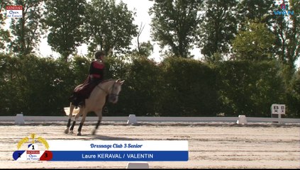 Dressage Club 3 Senior