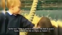 Il a pris soin d'un gorille pendant 5 ans et décide de passer le voir pour voir sa réaction