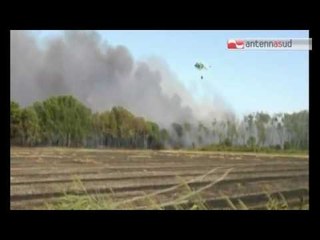 Скачать видео: Tg Antenna Sud - La Puglia brucia, incendi nel Salento e nel Tarantino