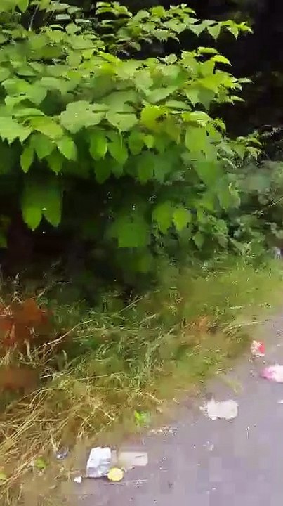 Charleroi: dépotoir sur les côtés d'une route menant à une grande surface.