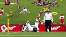 ★(Top-5 )★ Ball Hitting The Batsmen Balls ♦Ouchh !!! Broken Testicles ♦ Cricket Funny Moments ♦