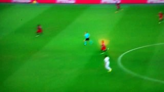Robert Lewandowski's Goal Vs Portugal