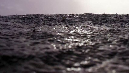 LifeProof Fre WaterProof iPhone 6 Case