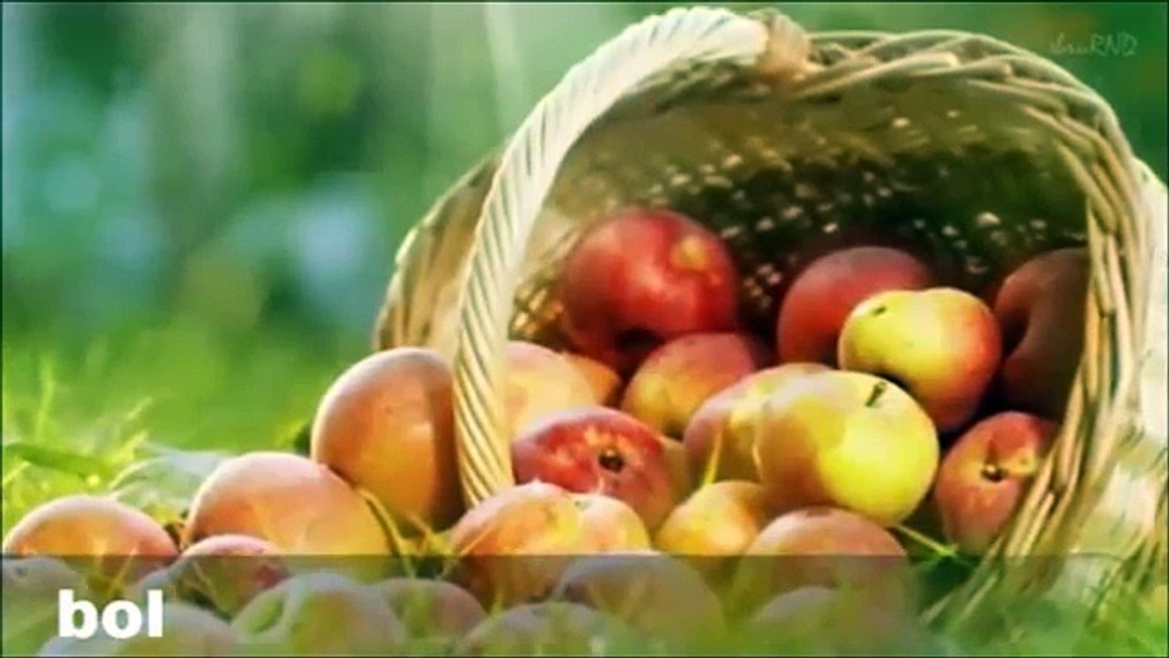 Eş Sesli Kelimeler  1