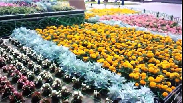 Mbbs Abroad In Ukraine|Study In Ukraine|Top Medical University