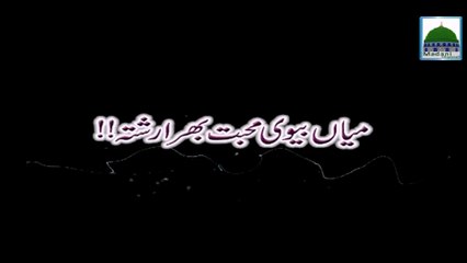 Miyan Bivi Mohabbat Bhara Rishta - Haji Imran Attari