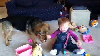 FUNNY BABY VIDEOS PART 17