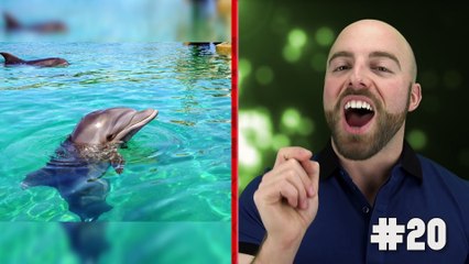 50 AMAZING Facts to Blow Your Mind! #42