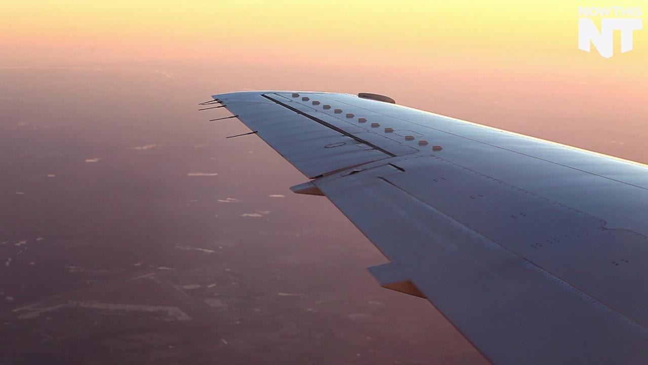 Travel Warnings Issued Against US in Wake of Police Violence