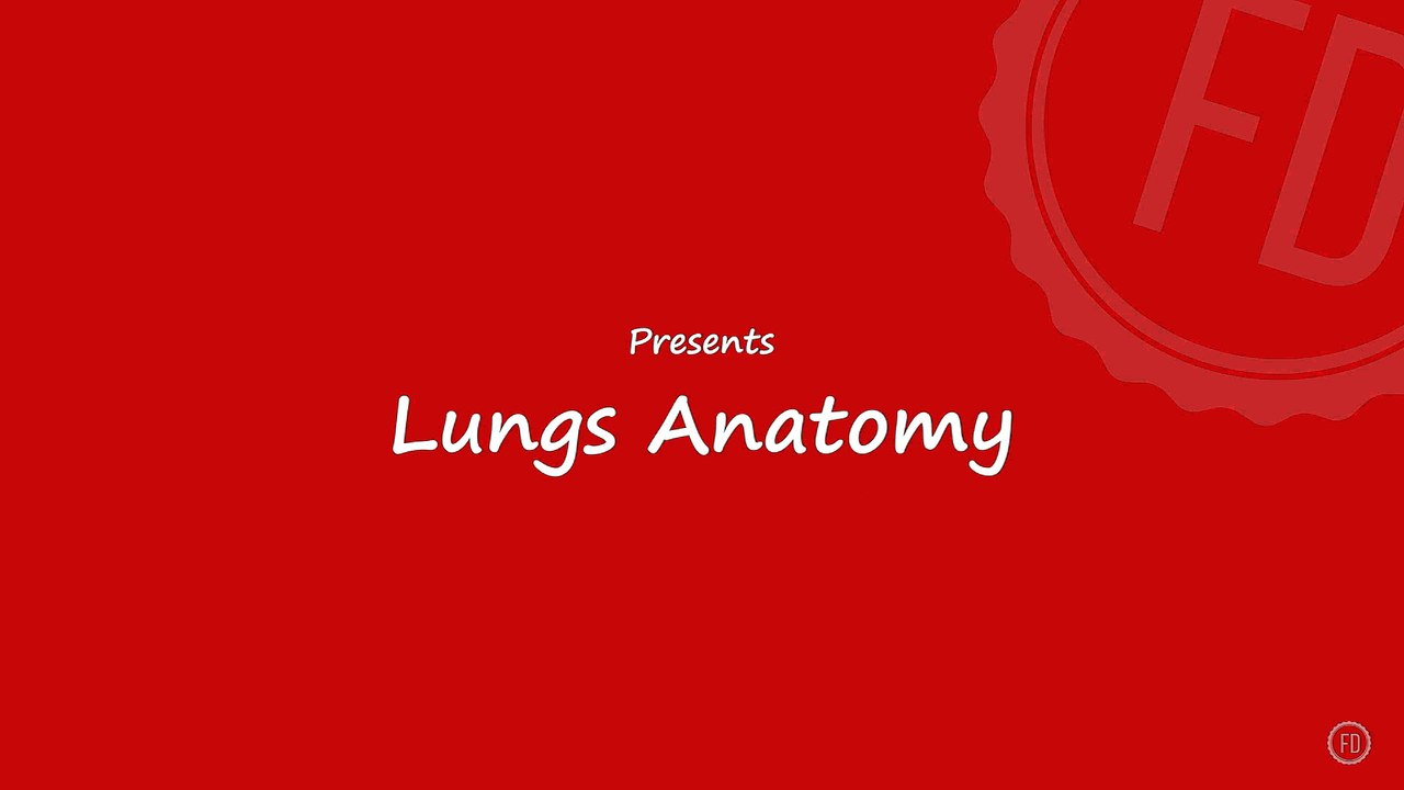 Lungs Anatomy | Medical Education | HD Video | F1 Digitals