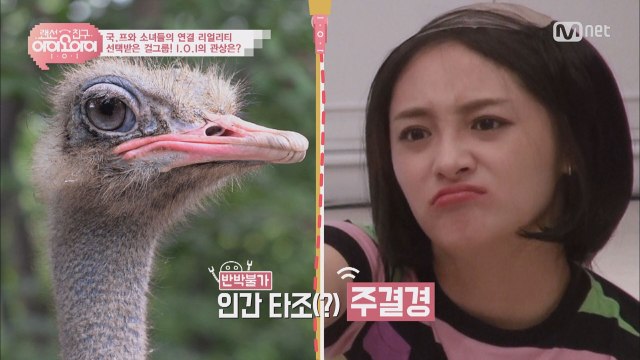 [랜선친구/3회] 반박불가 타조상