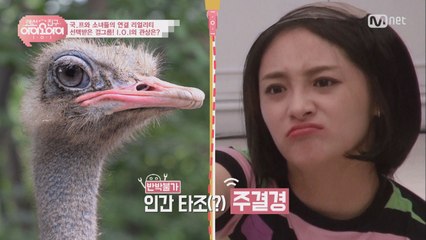 [랜선친구/3회] 반박불가 타조상