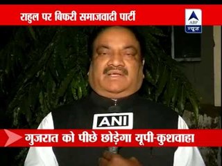 Samajwadi Party hits back at Rahul Gandhi