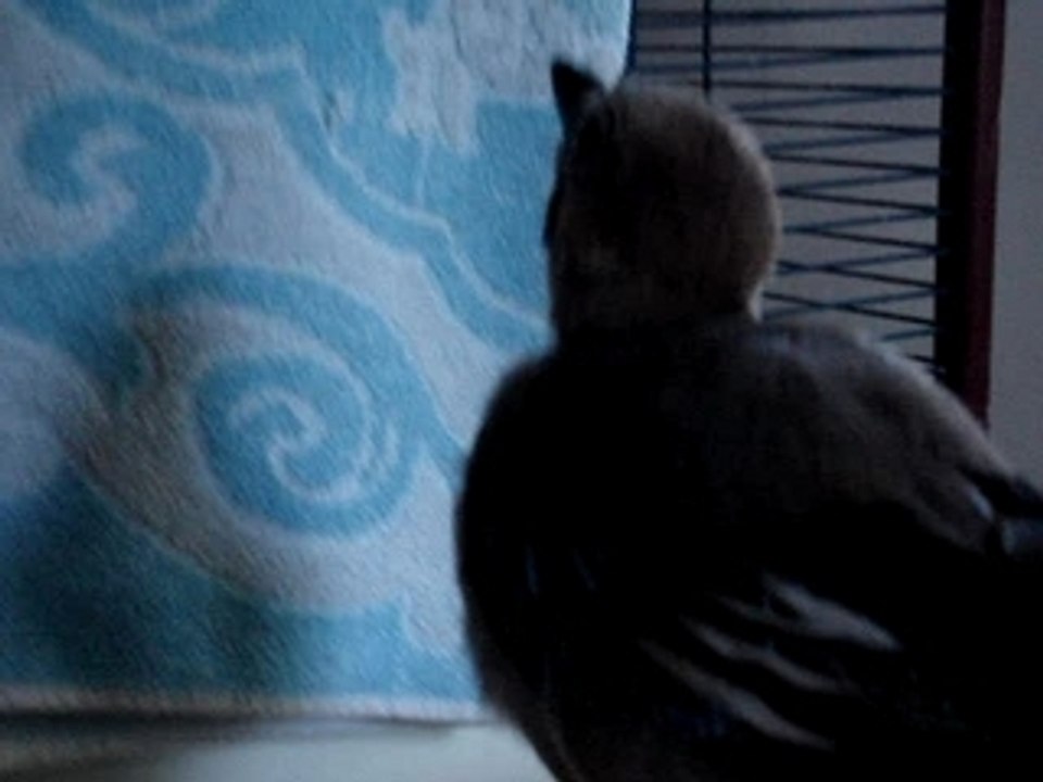 MOV01124