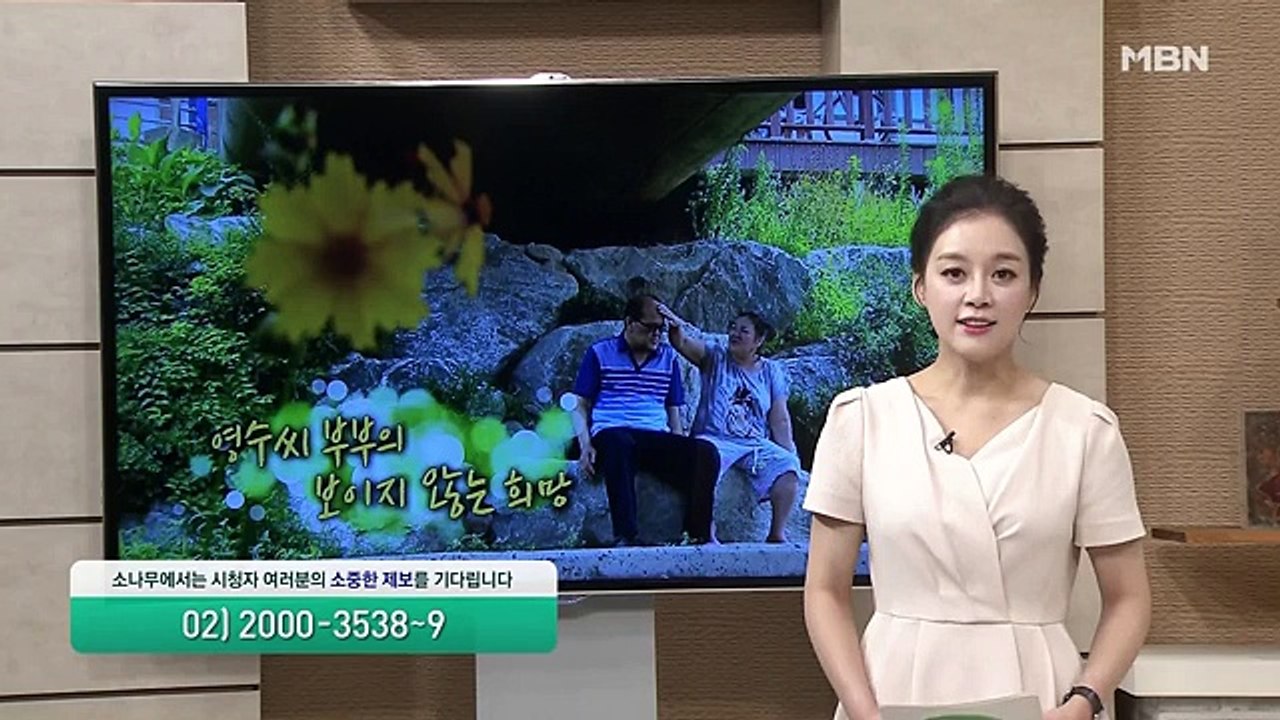 소나무.E243.160723