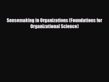Free [PDF] Downlaod Sensemaking in Organizations (Foundations for Organizational Science)
