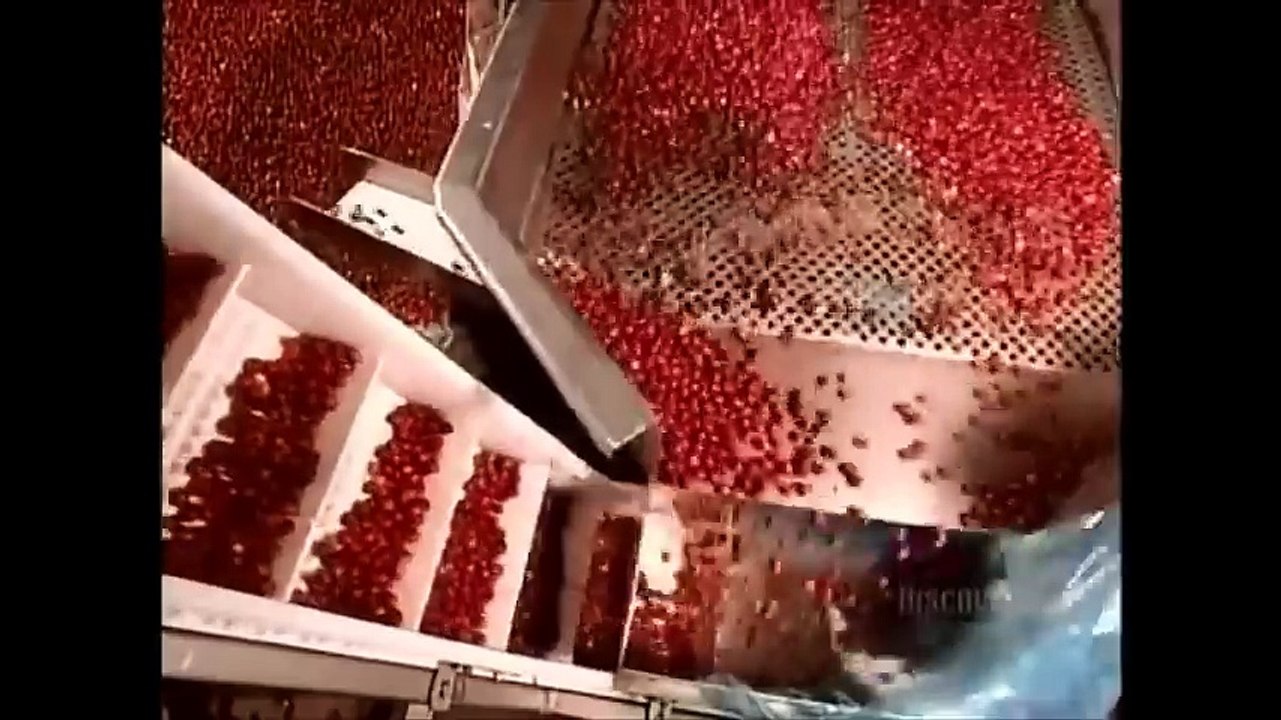 How It's Made: Automated Machines 1