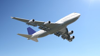 How to Win the Airline Ticket-Buying Game