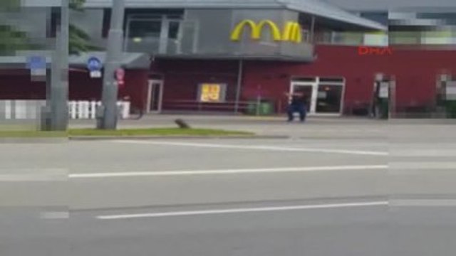 Münih'te Alışveriş Merkezinde Silahlı Saldırı Ölü ve Yaralılar Var