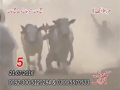 T.A.M.A.S.H.A Mirza Attock