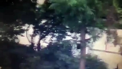 Attentat terroriste à Munich dans un centre commercial