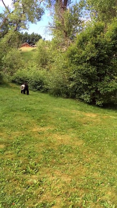 chad hatten  chad hatten chad hatten  chad hatten chad hatten  chad hatten houston dallas dallas houston dallas houston