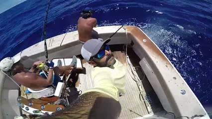 2016 Seahorse Anglers Club Tournament Day 1 Recap