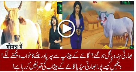 Watch How India Becomes A Super Power After Drinking Cow’s Urine