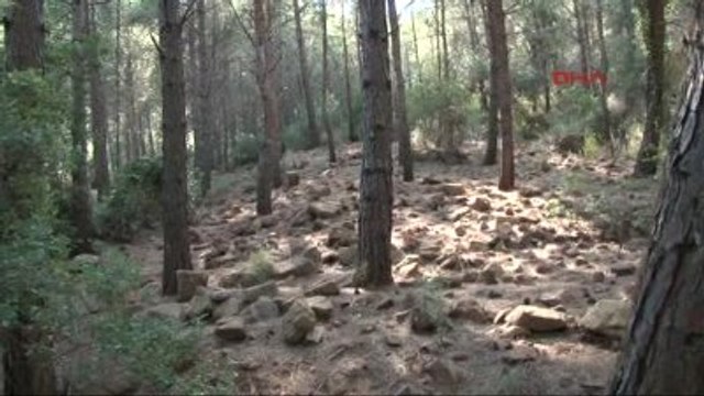 Marmaris' Te Darbeci Askerlerin Ormanda Gizledikleri Tüfekler Ek Görüntü