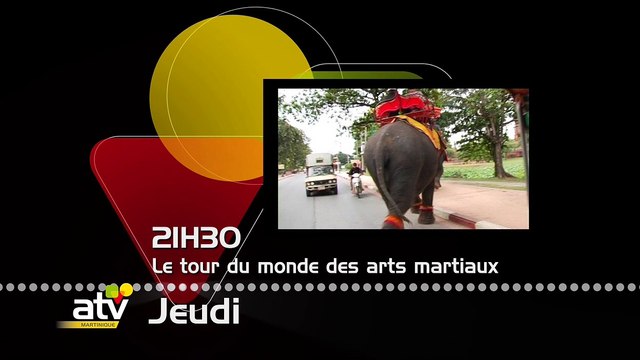 BA Le tour du monde des Arts Martiaux 280716