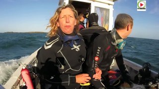 Le bateau coule 16 plongeurs sauvés à Quiberon (Reportage à bord) - TV Quiberon 24/7
