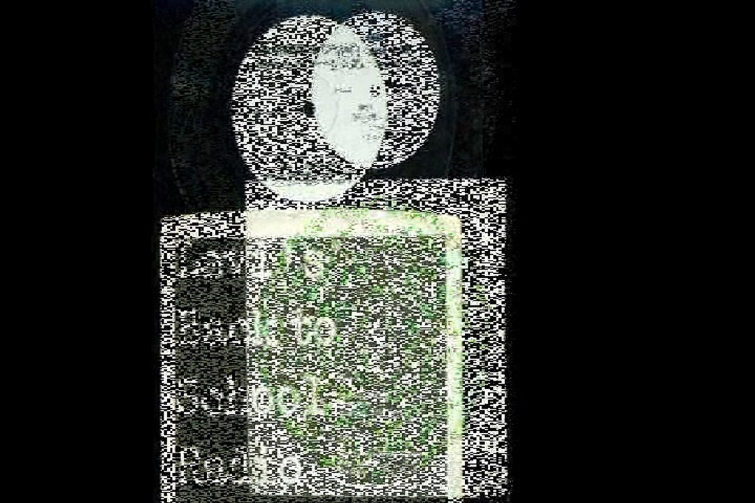 Sopwith Camel "Worksong " Levi Strauss “Salesman’s Record” 1967 Radio Spot Ads Salesmen