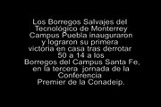 Borregos Puebla vencen 50 a 22 a borregos Santa Fe.