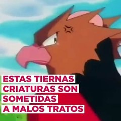 Humor: Dile no al tráfico de Pokemons con esta campaña