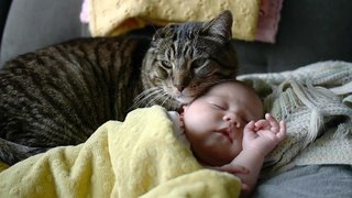 Cat preciously watches over newborn baby
