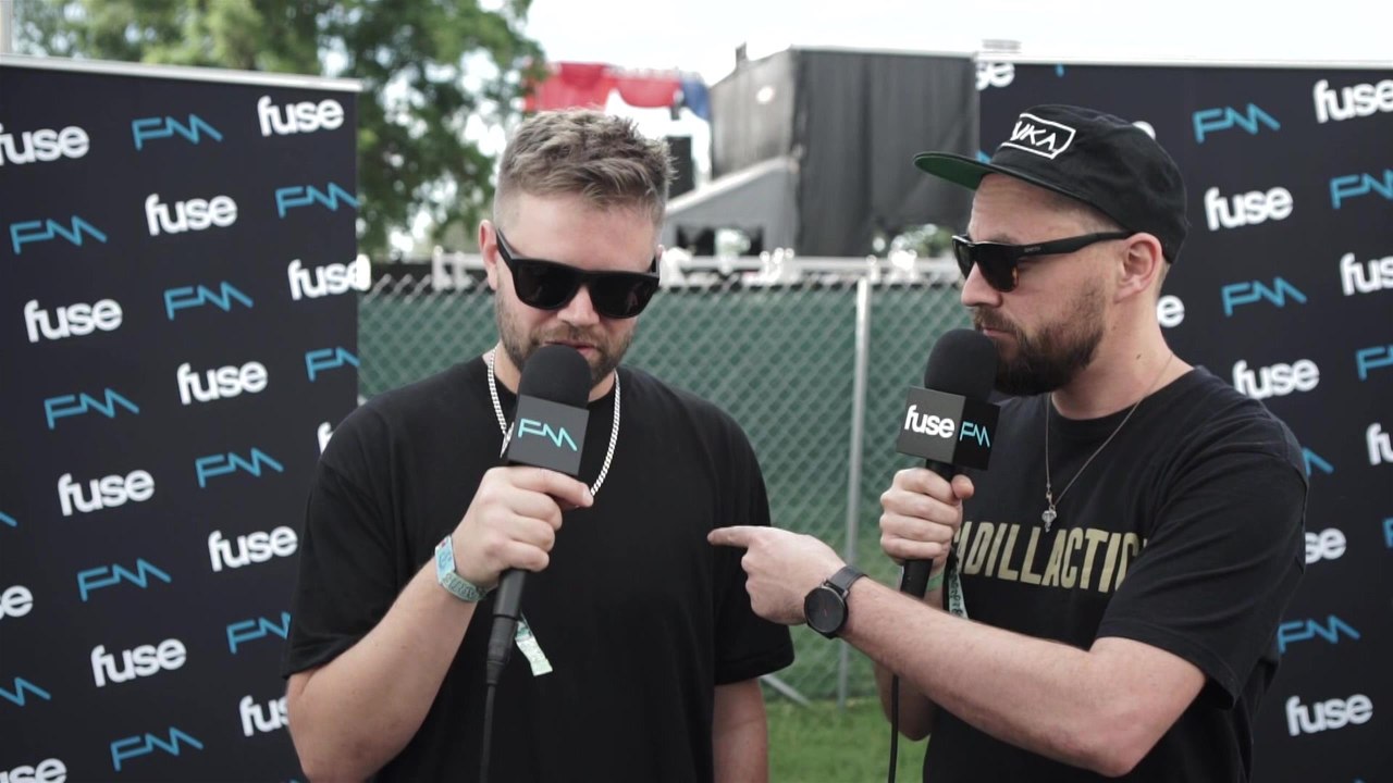 Bonnaroo Artists Share Their Craziest Fan Stories