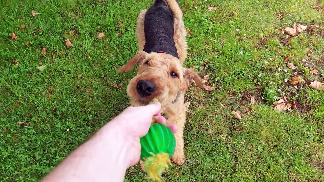 HTC 10 CamTest v.2 - FW 1.80.401.1