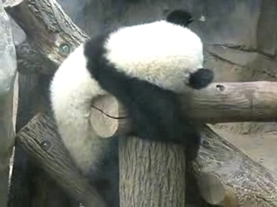 Sweetness