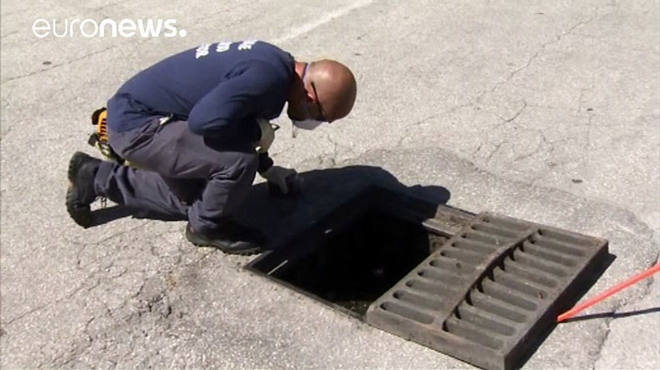 Zika: lokale ausbreitung in florida