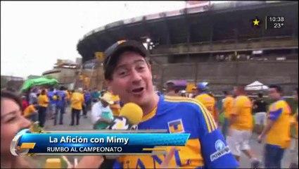 El Color de Mimi Regia, Tigres vs Pachuca