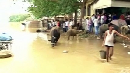 Download Video: Alluvioni in India, almeno 30 morti