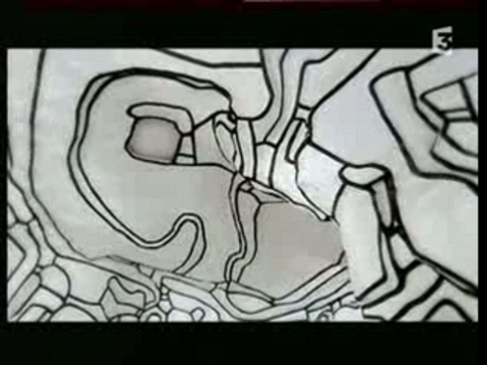 DUBUFFET-DARRIEUSSECQ