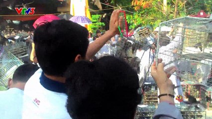 Phóng sinh đúng cách - Vui Sống Mỗi Ngày [VTV3 – 18.08.2016]