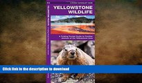 READ BOOK  Yellowstone Wildlife: A Folding Pocket Guide to Familiar Animals of the Yellowstone