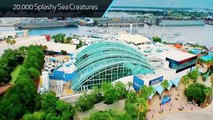 Riverwalk Overview in Tampa Bay by Southwest Florida Vacations