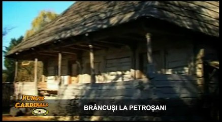 Puncte cardinale -  Brancusi la Petrosani