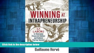 Must Have  Winning at Intrapreneurship: 12 Labors to Overcome Corporate Culture and Achieve