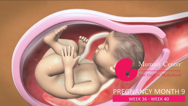 9th Month of Pregnancy –Definitive Guide For Pregnancy Month 9 | Week(36,37,38,39,40) | Mummy Center