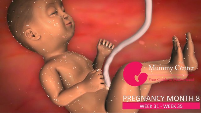 8th Month of Pregnancy –Definitive Guide For Pregnancy Month 8 | Week(31,32,33,34,35) | Mummy Center
