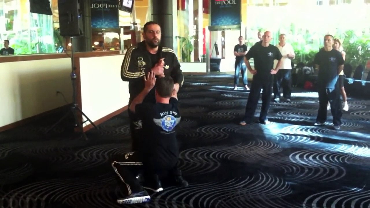 KRAV MAGA INSTRUCTOR COURSE USA 2013 WITH ALAIN COHEN 2013
